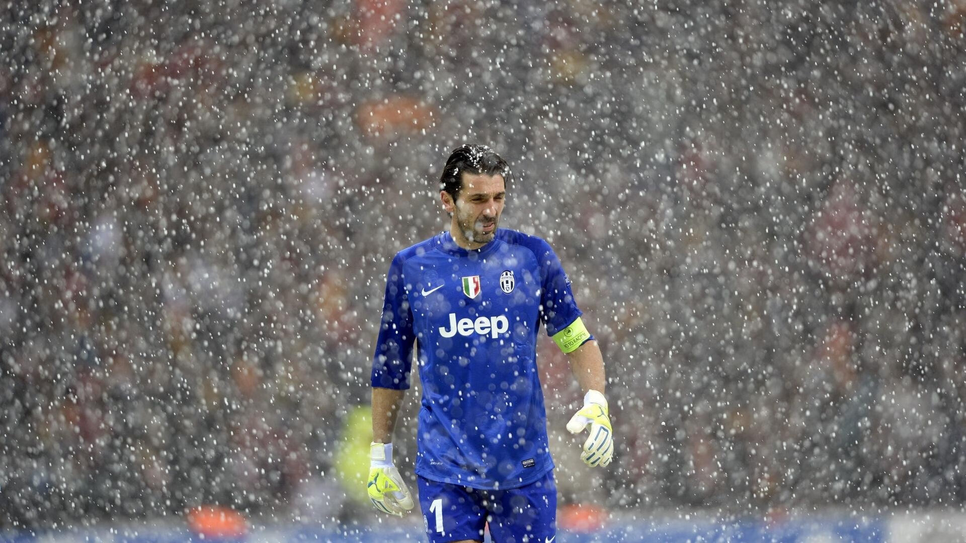 世界跳水大奖赛,中国小将一举成名斩获两金,世界跳水锦标赛