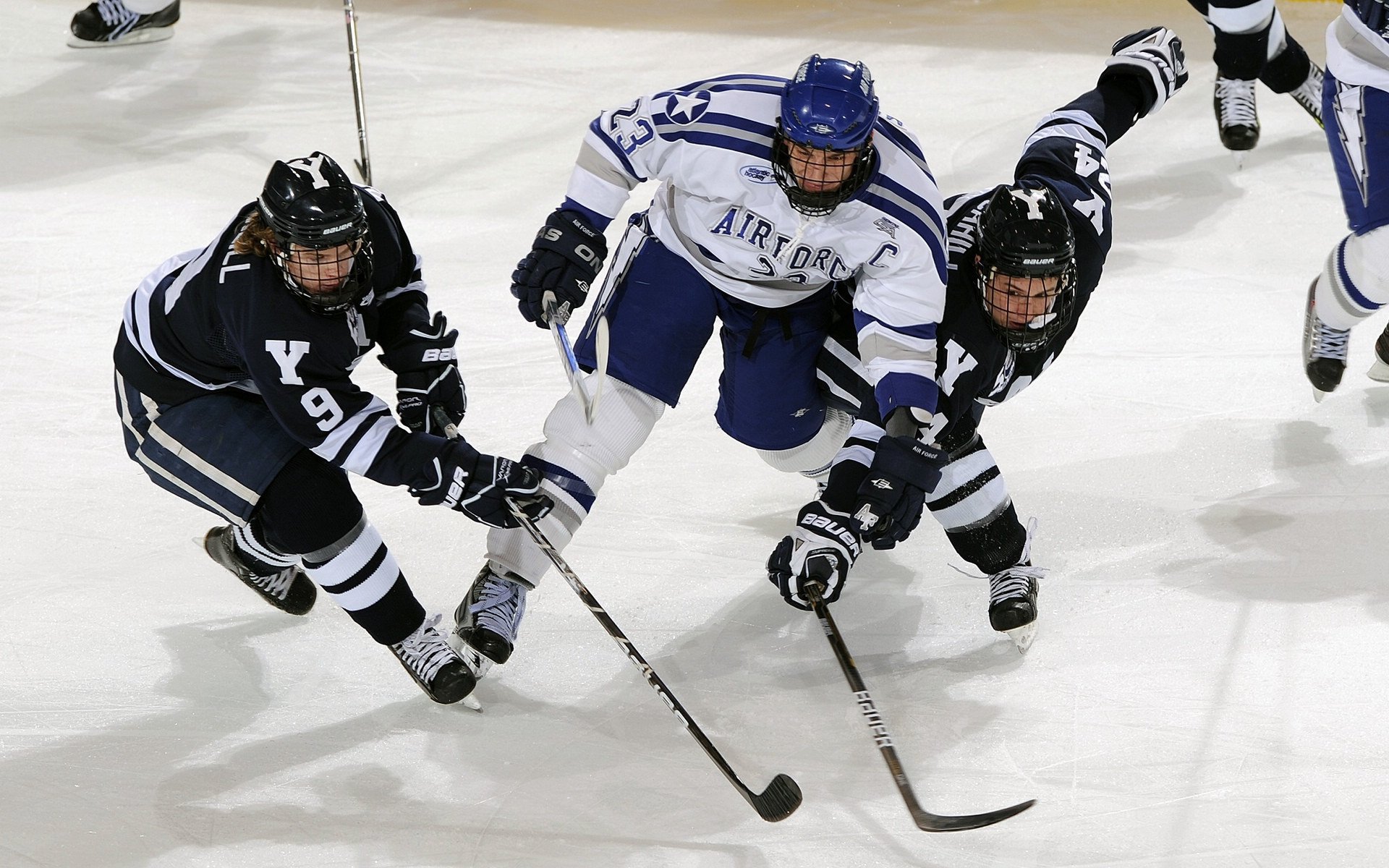捷克队球员训练积极备战国际比赛，捷克队员名单